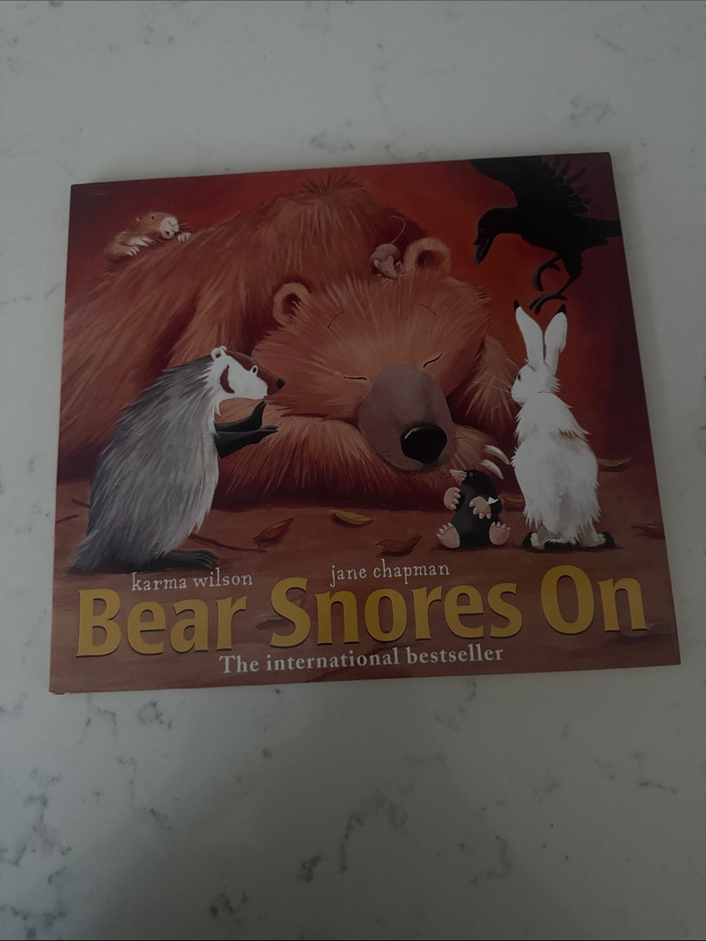 Bear Snores On book